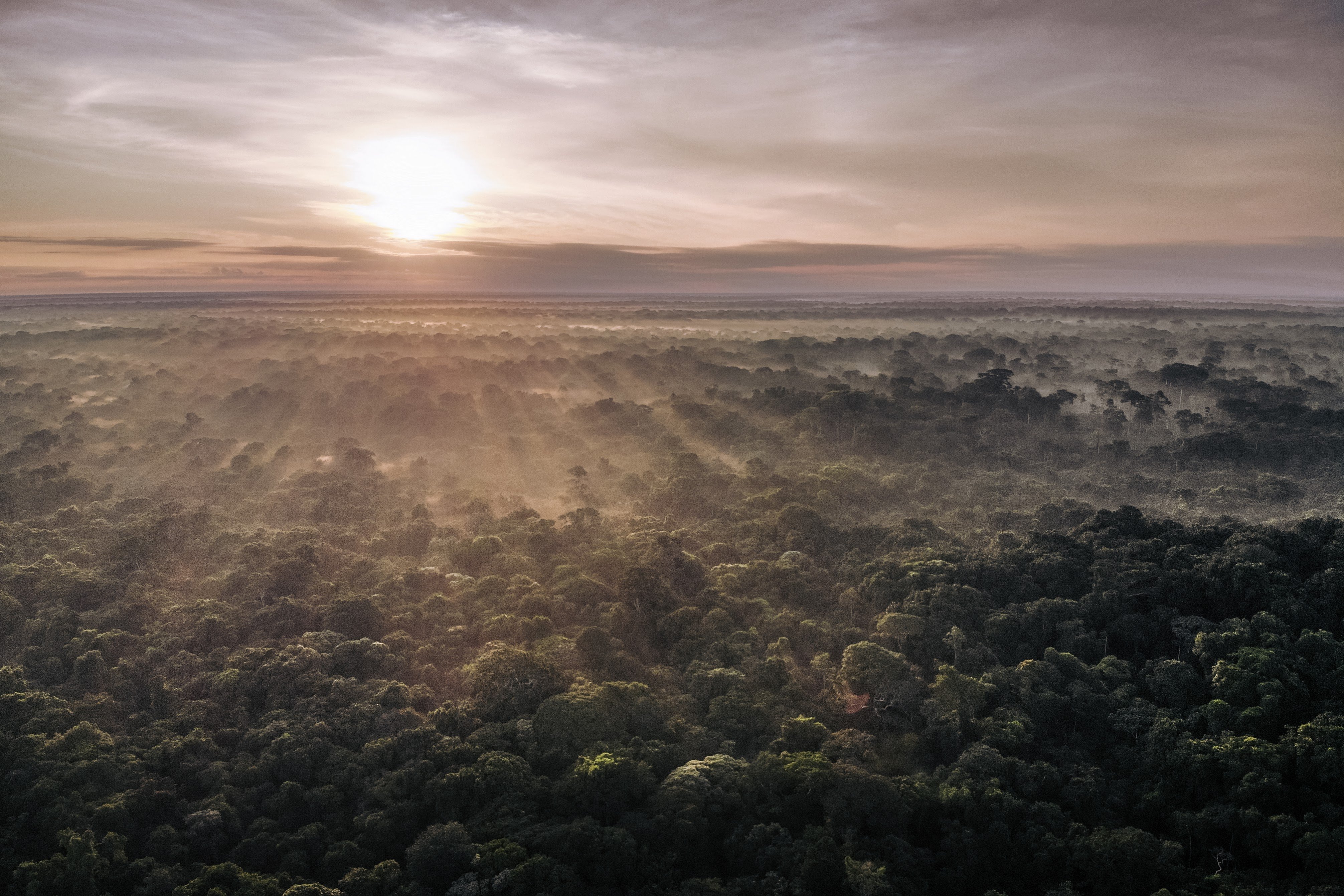 Photo: Alexis Huguet / Rainforest Foundation Norway