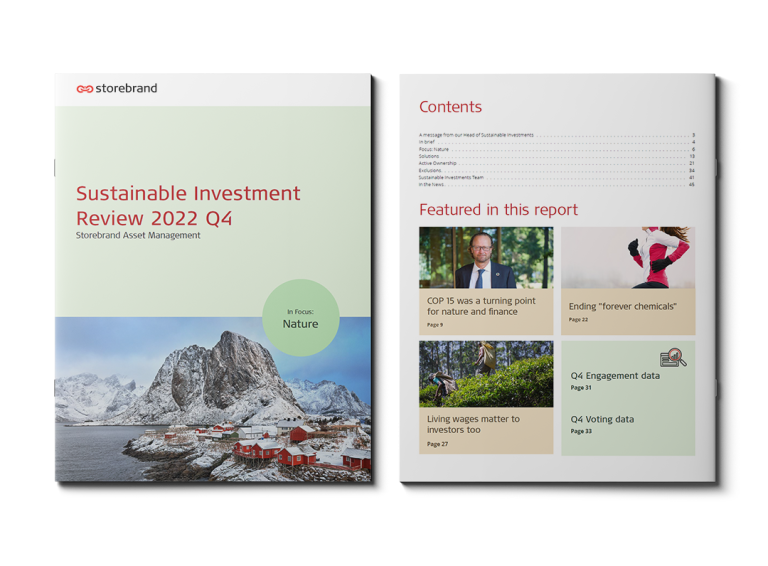 Sustainable-investment-review-q4-2022