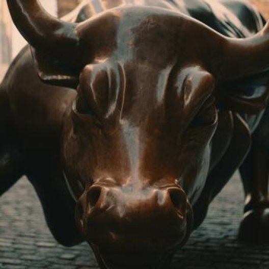 Wall Street-oksen i New York. Wall Street-oksen i New York.
