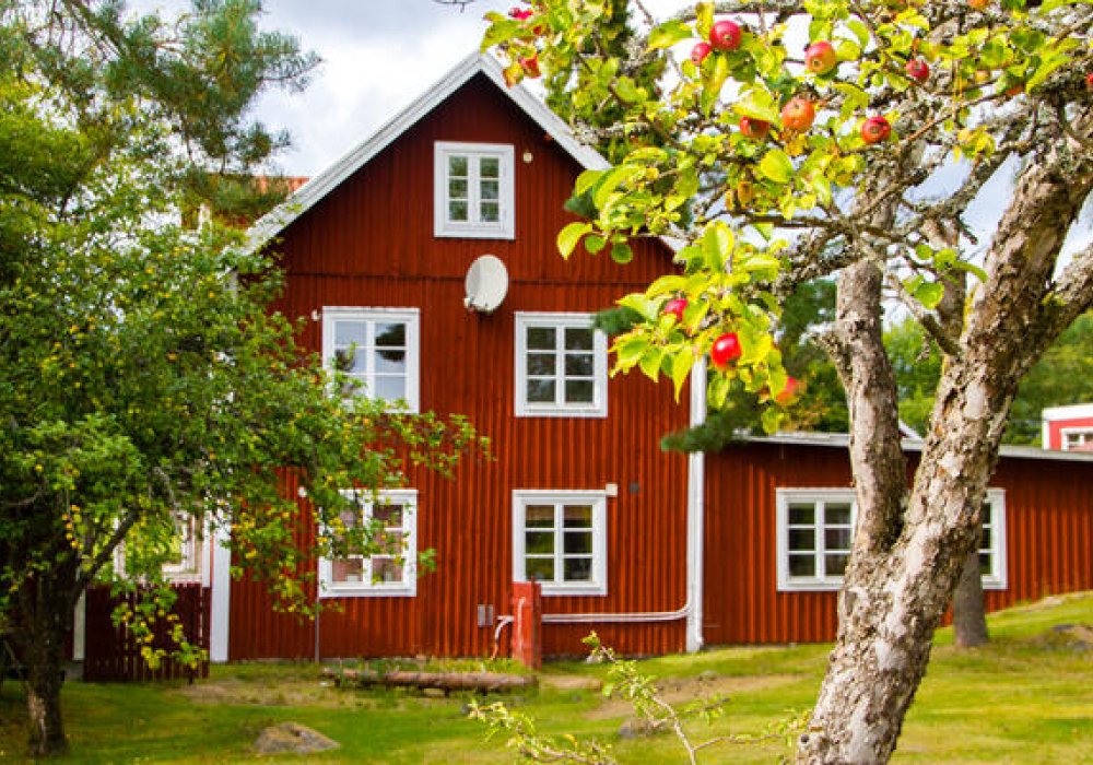 Stort rødt hus med hage og epletrær.