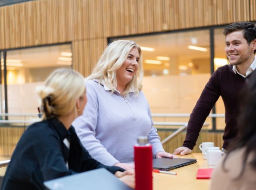 Fornøyde kollegaer som ser på en datamaskin. Fornøyde kollegaer som ser på en datamaskin.