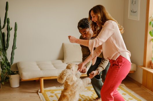 Illustrasjon: par som danser med hund