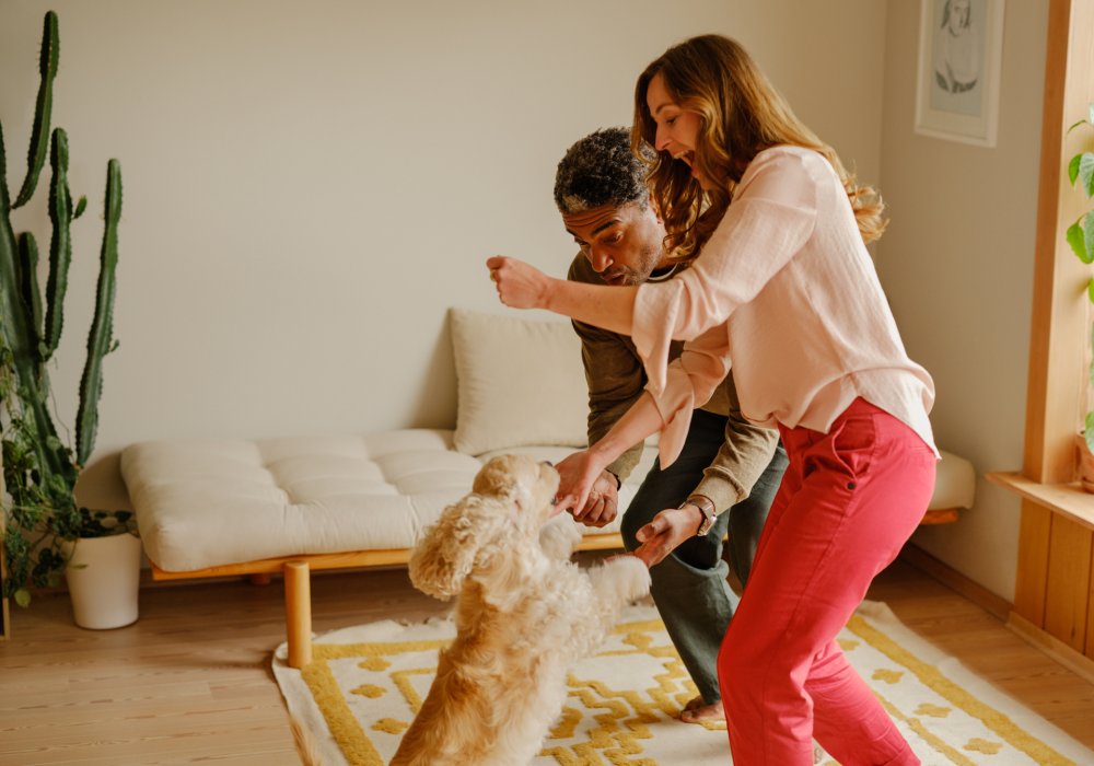 Et par som leker med hunden sin i stuen