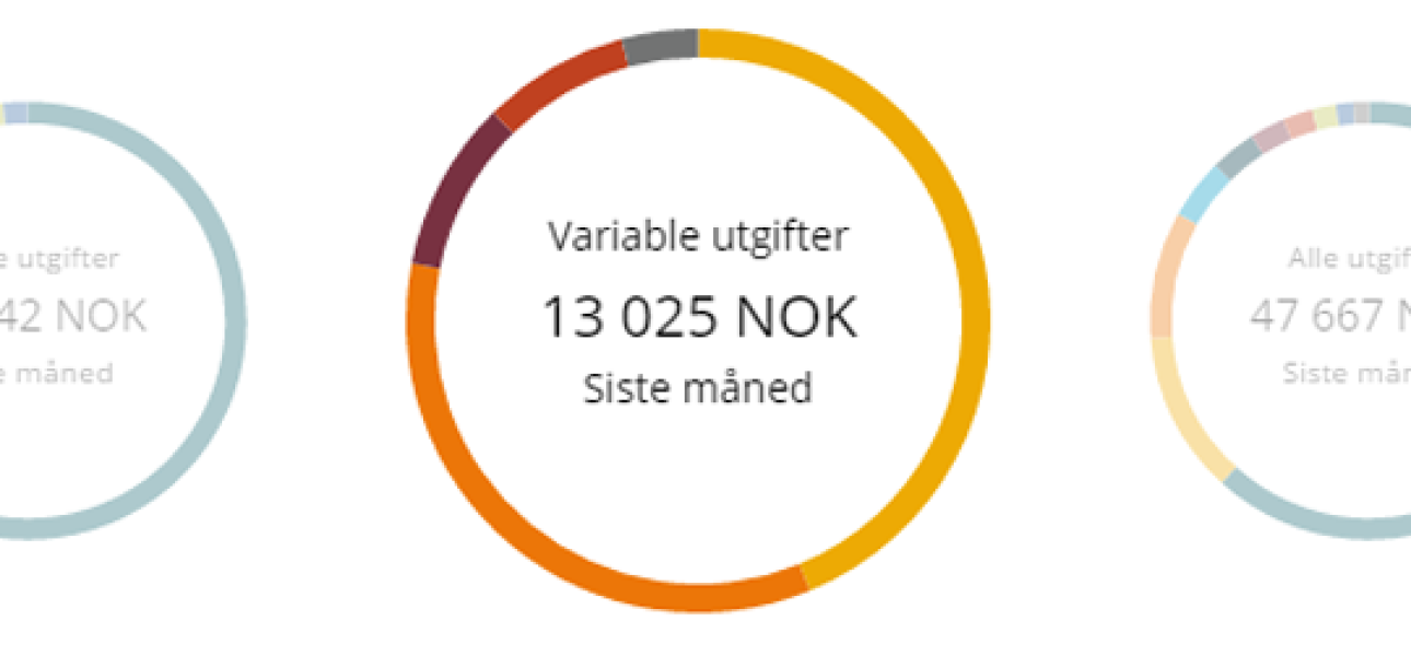Mitt forbruk - type utgift Mitt forbruk - type utgift