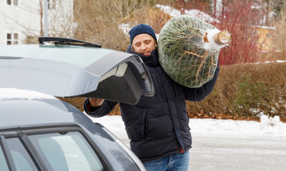 Mann som skal legge juletre i bagasjerommet på bilen sin.