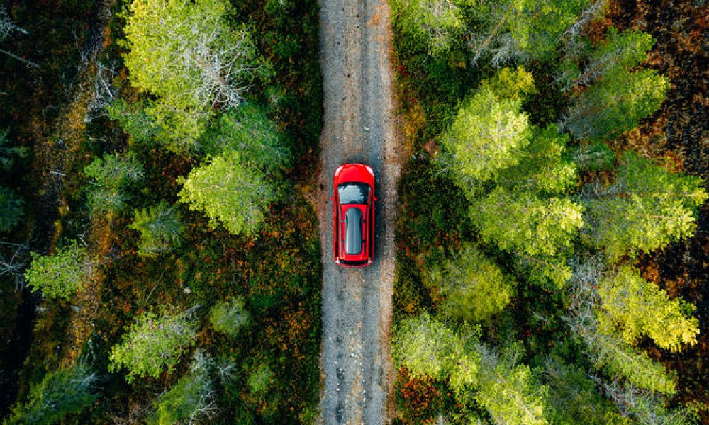 Rød bil som kjører på bilvei gjennom skogen.