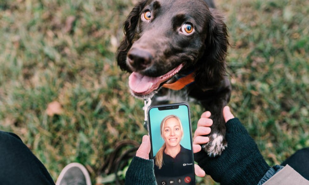 Person med hund ute og en mobil i hånda som viser veterinærtjenesten FirstVet.