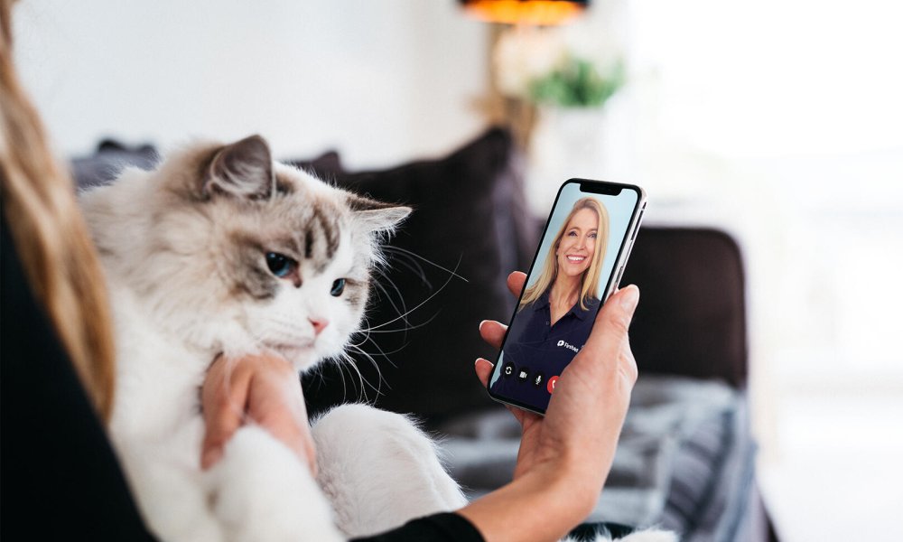 FirstVet-appen på mobil.