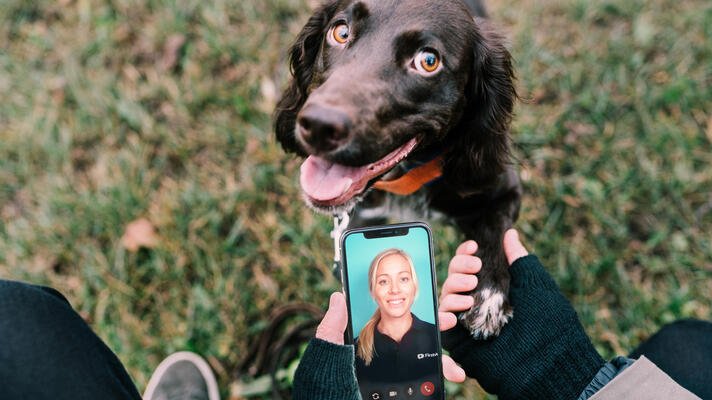 Person med hund ute og en mobil i hånda som viser veterinærtjenesten FirstVet.