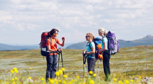 Illustrasjonsfoto: fottur i fjellet om sommeren