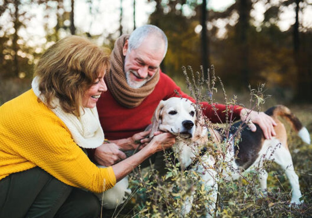 Illustrasjonsfoto: Av mann og dame i skogen med hunden sin