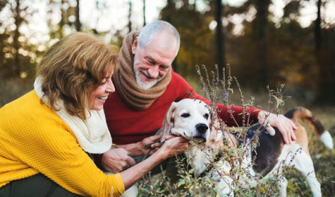 Illustrasjonsfoto: Av mann og dame i skogen med hunden sin Illustrasjonsfoto: Av mann og dame i skogen med hunden sin