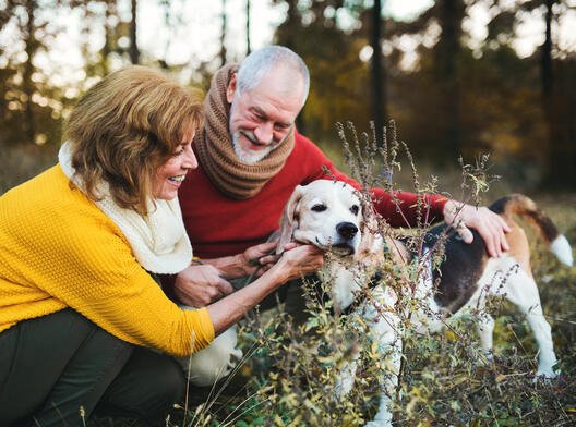 Illustrasjonsfoto: Av mann og dame i skogen med hunden sin Illustrasjonsfoto: Av mann og dame i skogen med hunden sin